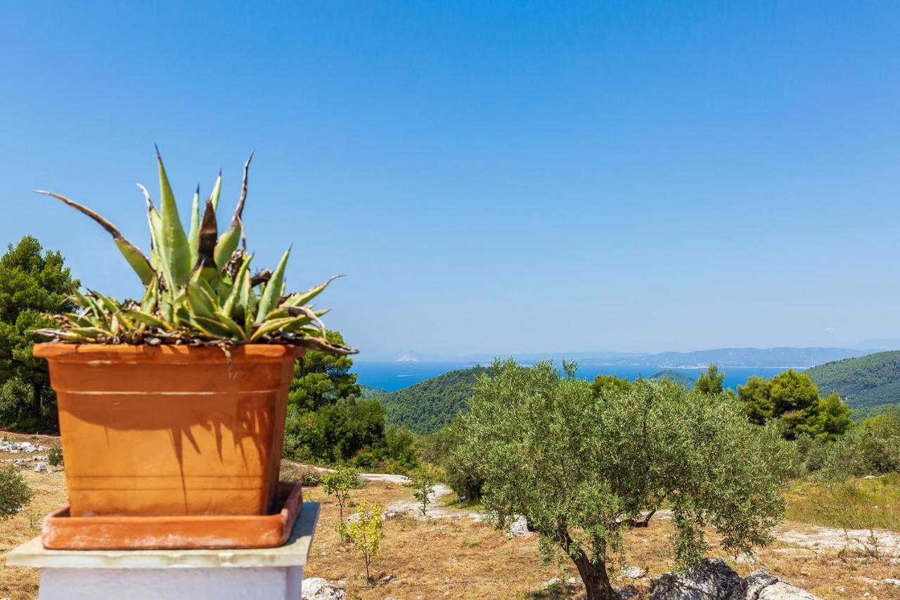 Villa Jasmine Skopelos Exterior foto